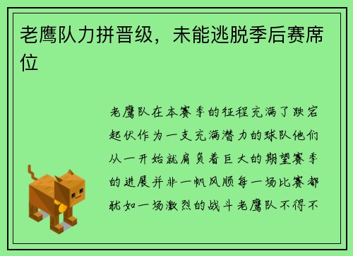老鹰队力拼晋级，未能逃脱季后赛席位